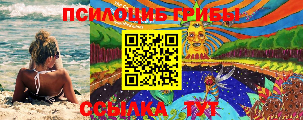 Галлюциногенные грибы прущие грибы Москва