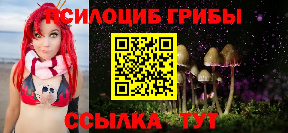 Москва  закладка  Вход с VPN  Галлюциногенные грибы GOLDEN TEACHER 